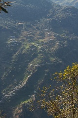 IMG_3607a